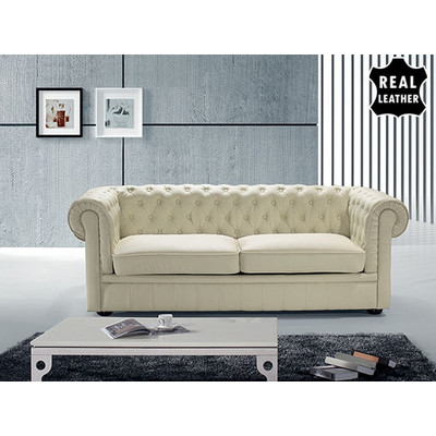 SFM00021 Elegant Loveseat Sofa furniture